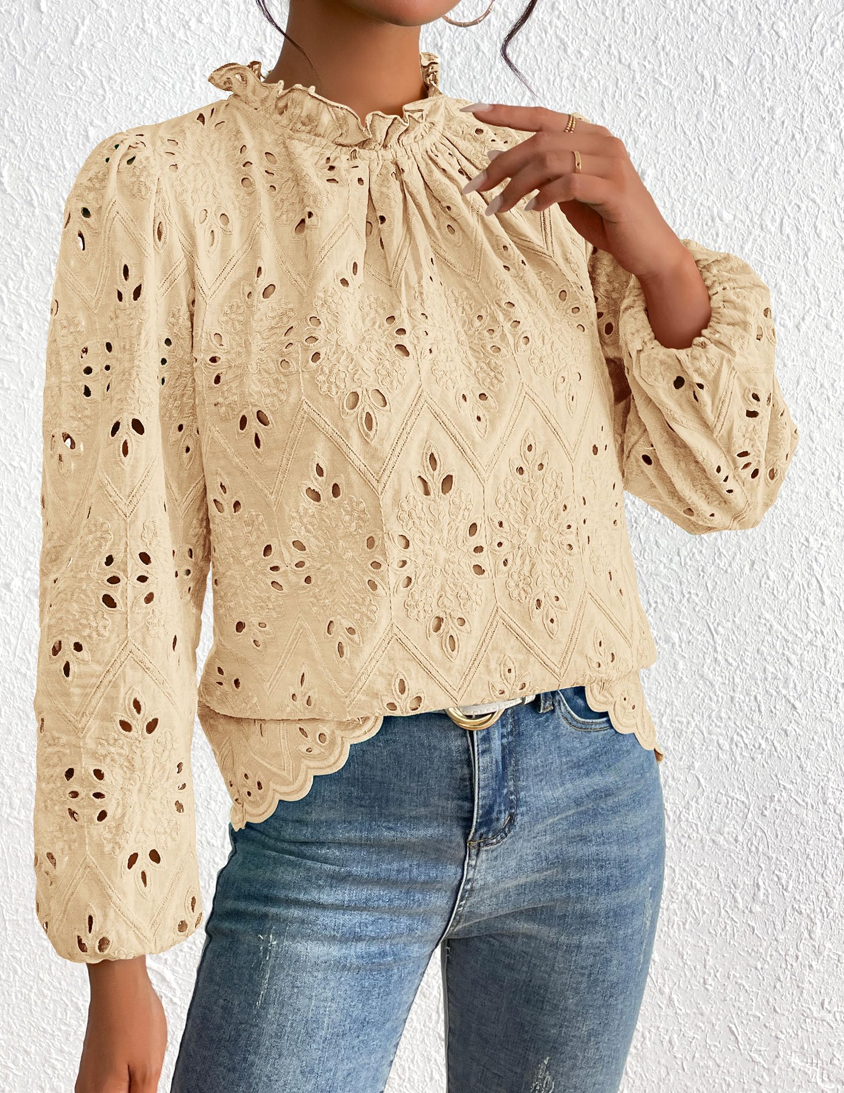Womens Tops Dressy Casual Spring Long Sleeve Shirts Embroidered Eyelet Blouses Going Out Outfits